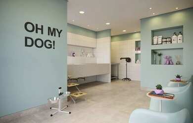 Imagem 5: Apartamento 2 quartos, excelente oportunidade para grandes investidores, no Recreio!