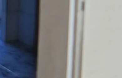 Imagem 6: Apartamentos para aluguei