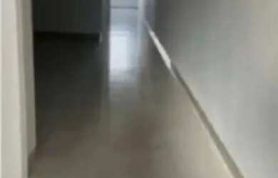 Imagem 4: LOJA - PINHEIROS - SP