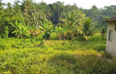 Imagem: O terreno possui 10.000m² de Área e está localizado em Cohatrac