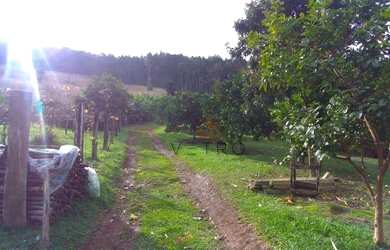 Imagem 3: Sítio à Venda em Canela!