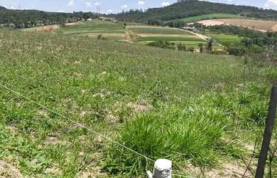 Imagem: O terreno possui 600m² de Área e está localizado em Portão
