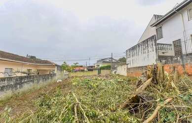 Imagem 6: Vendas Terreno Curitiba PR