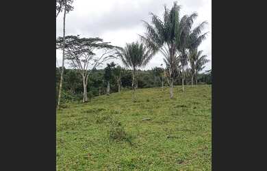 Imagem 9: Terreno a 45km do Aeroporto de Porto Seguro