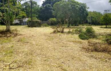 Imagem 9: Lotes espetacular em Aldeia, arborizados, murado, plano, legalizado