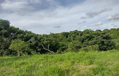 Imagem 15: área maravilhosa em Aldeia, com mas de meio heketare, belíssima vista para mata atlântica!