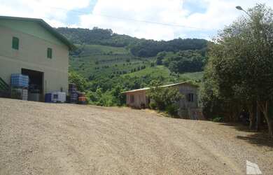 Imagem 4: Bento Gonçalves - Fazenda - Faria Lemos