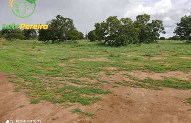 Imagem 4: FAZENDA À VENDA NO FORMOSO DO ARAGUAIA-TO- 1936 HECTARES (DUPLA APTIDÃO