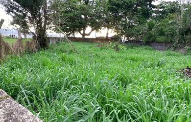 Imagem 9: Raridade Terreno na praia da Verolme 787 metros quadrados