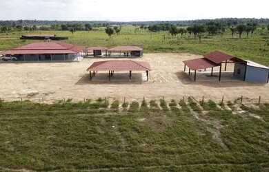 Imagem 1: Fazenda 240Ha, 110Ha Pasto, 125km de Boa Vista (Cantá