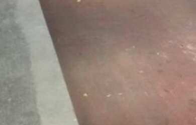 Imagem 2: Galpão para Locação em São Paulo, Cambuci, 2 banheiros