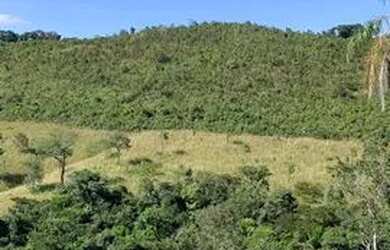 Imagem 2: Fazenda 11 algueire em Aparecida