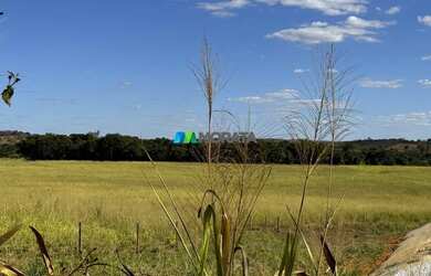 Imagem 4: FAZENDA À VENDA - 165 HECTARES - REGIÃO DE CURVELO MG