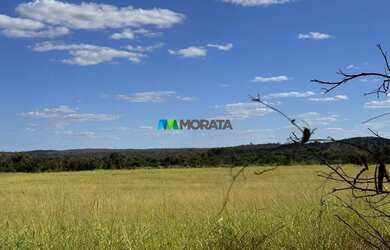 Imagem 12: FAZENDA À VENDA - 165 HECTARES - REGIÃO DE CURVELO MG