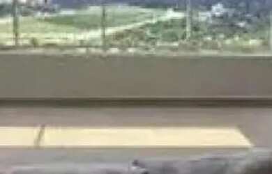 Imagem 11: APARTAMENTO - CIDADE JARDIM - SP