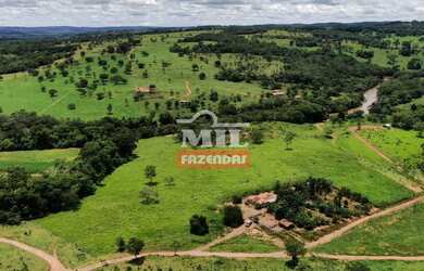 Imagem 11: Beira Rio - Chácara 1.36 alqueires 66.000 metros Santa Cruz de Goiás