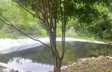 Imagem 4: SÍTIO EM GLAURA SOARES 120mil metros quadrados