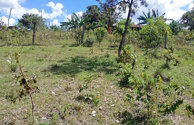 Imagem 8: A M IMOVEIS VENDE EXELENTE FAZENDA NA FERCAL COM 10 ALQUEIRES