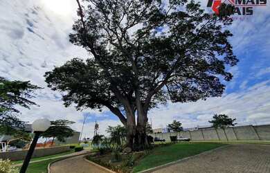 Imagem 14: Lote Terreno à venda no Condomínio Jatobá - Hortolândia