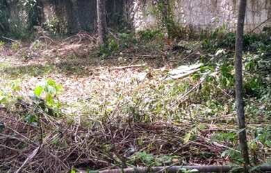 Imagem 12: Lotes espetacular em Aldeia, arborizados, murado, plano, legalizado