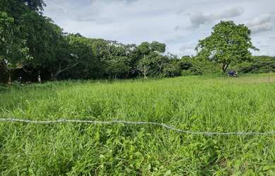Imagem 7: área maravilhosa em Aldeia, com mas de meio heketare, belíssima vista para mata atlântica!