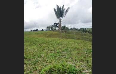 Imagem 4: Terreno a 45km do Aeroporto de Porto Seguro