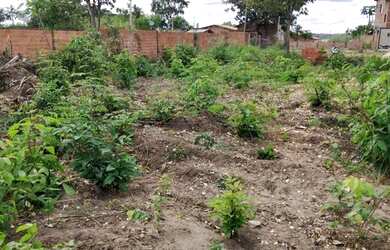 Imagem 2: Terreno 10/40. 