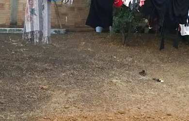 Imagem 2: Casa Casa com 2 dormitórios