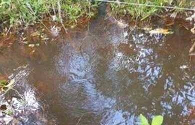 Imagem: A chácara possui 75.000m² de Área e está localizado em