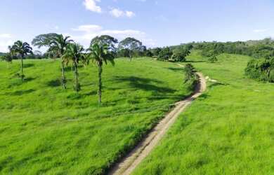Imagem: A fazenda está localizado em Santa Cruz de Goiás, GO à venda