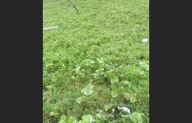 Imagem: O depósito possui 45m² de Área e está localizado em Nossa