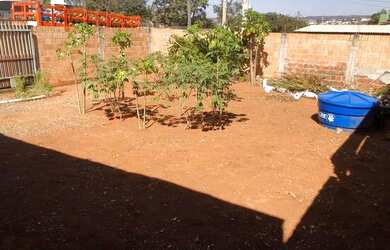 Imagem 6: Venda de lote. 155m² de Área