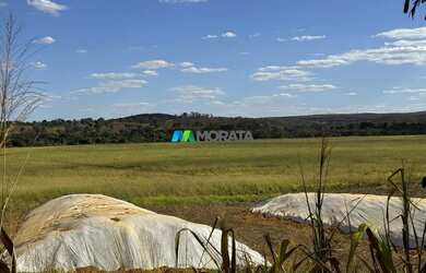 Imagem 3: FAZENDA À VENDA - 165 HECTARES - REGIÃO DE CURVELO MG