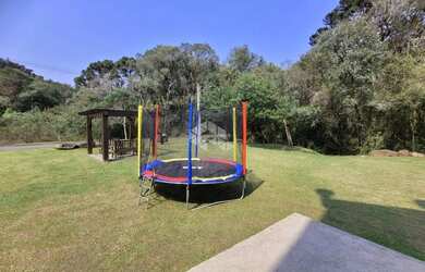 Imagem 16: Pinheiro Grosso. 734m² de Área