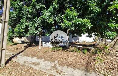 Imagem 2: Terreno para aluguel, Cancelli - Cascavel/Pr