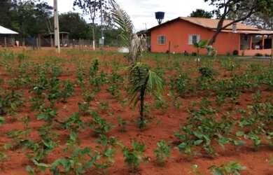 Imagem 16: Chácara 7.300 metros valor 700.000 em unai mg
