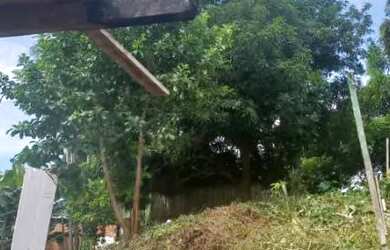 Imagem 2: Terreno 7 12. 