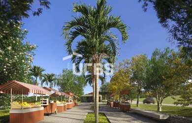 Imagem 5: Lote no Jardins Zurique. Piscina, Churrasqueirae480m² de Área