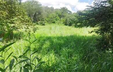 Imagem 16: A M IMOVEIS VENDE EXELENTE FAZENDA NA FERCAL COM 10 ALQUEIRES