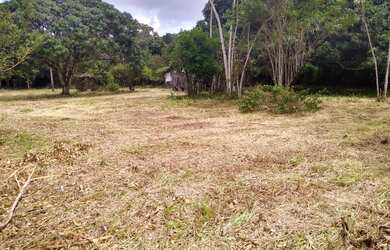 Imagem 5: Lotes espetacular em Aldeia, arborizados, murado, plano, legalizado