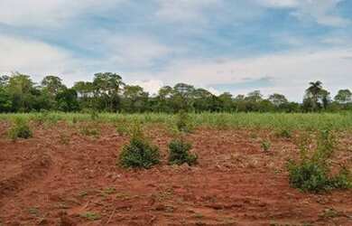 Imagem 6: FAZENDA À VENDA NO FORMOSO DO ARAGUAIA-TO- 1936 HECTARES (DUPLA APTIDÃO