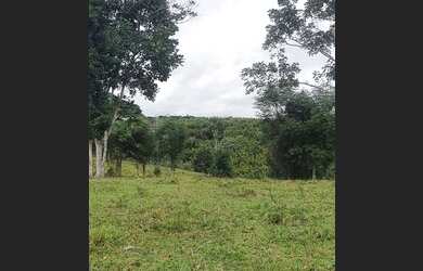 Imagem 10: Terreno a 45km do Aeroporto de Porto Seguro