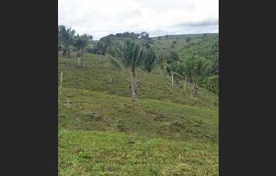 Imagem 5: Terreno a 45km do Aeroporto de Porto Seguro