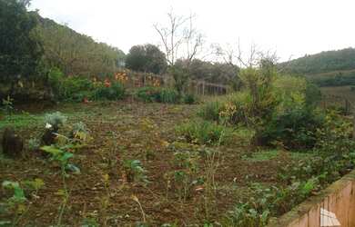 Imagem 10: Bento Gonçalves - Fazenda - Faria Lemos