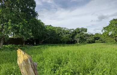Imagem 4: área maravilhosa em Aldeia, com mas de meio heketare, belíssima vista para mata atlântica!