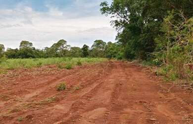 Imagem 2: FAZENDA À VENDA NO FORMOSO DO ARAGUAIA-TO- 1936 HECTARES (DUPLA APTIDÃO