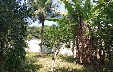 Imagem 4: Lote/Terreno para venda com 600 metros quadrados em Guaratiba - Rio de...