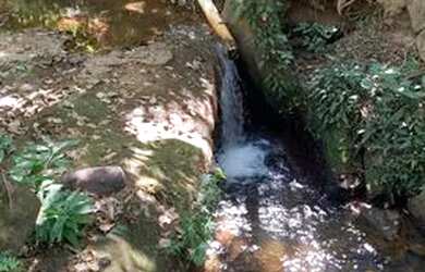 Imagem 6: Fazenda 11 algueire em Aparecida