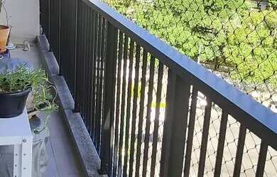 Imagem 3: Exclusividade Vila Isabel