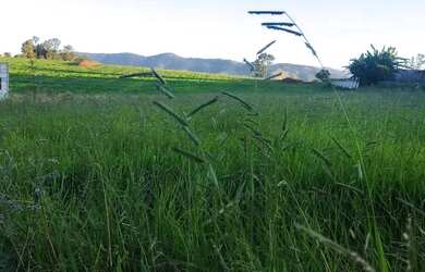 Imagem: O terreno possui 1050m² de Área e Imóvel novo e está localizado